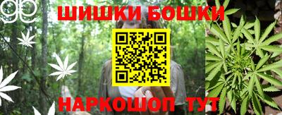 гидра Новодвинск
