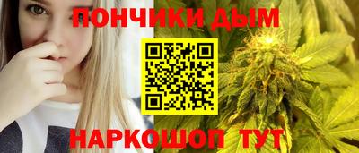 гидра Новодвинск