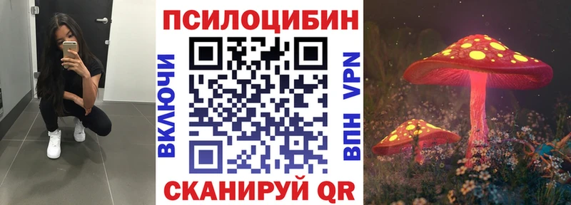 купить   Темрюк  МЕГА   Псилоцибиновые грибы мицелий 