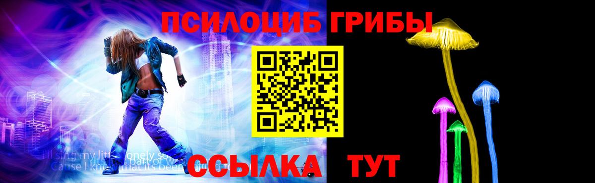 Псилоцибиновые грибы Psilocybe  Темрюк 